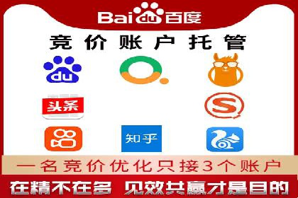 百度品牌专区推广的成效与案例